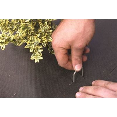 SOD STAPLES/FABRIC STAPLES BOX