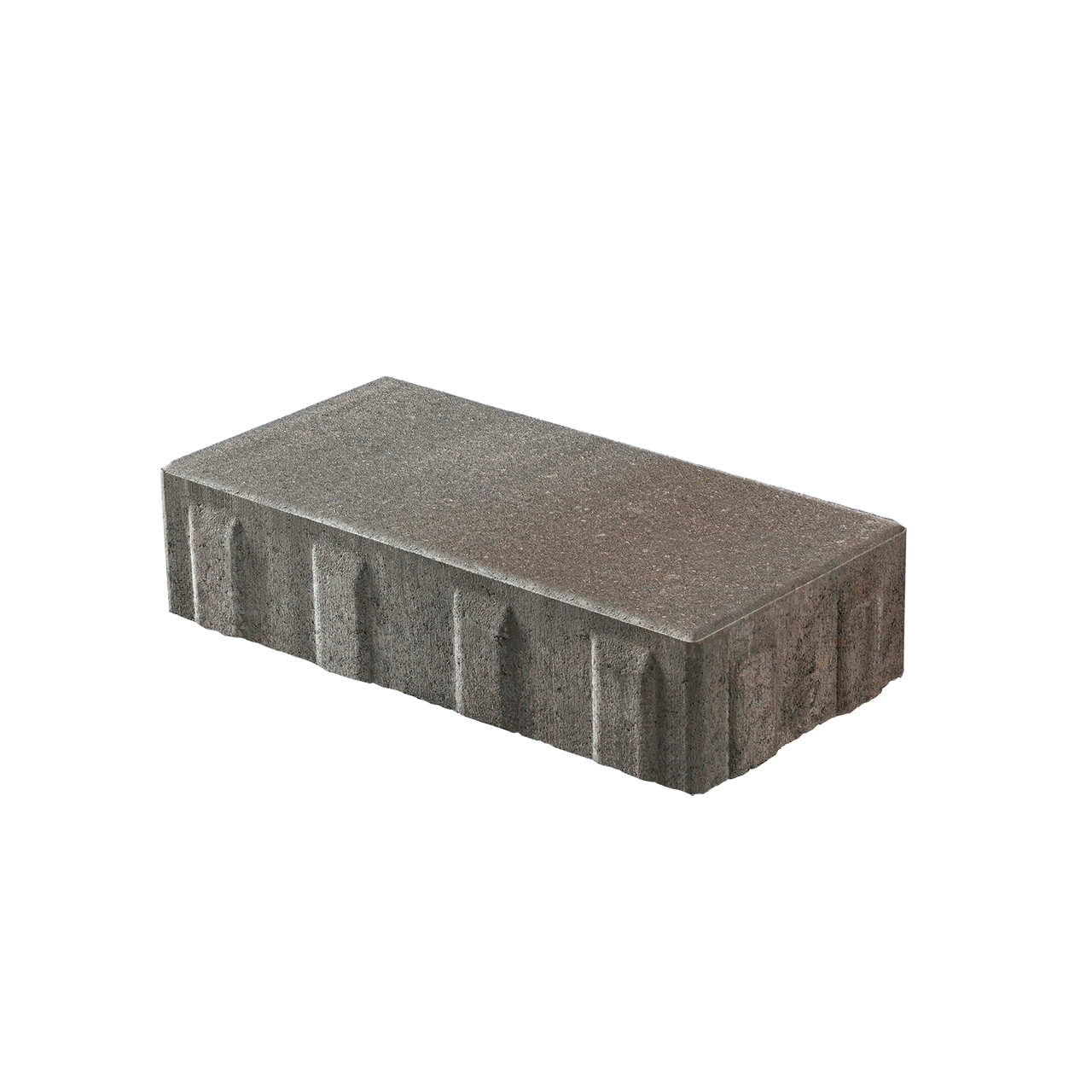 BEACON HILL SMOOTH REC FOSSIL 60