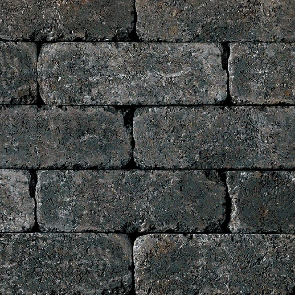 BRUSSELS DIMENSIONAL CHARCOAL
