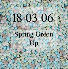 SPRING GREEN UP 25KG FERTILZER 18-3-6